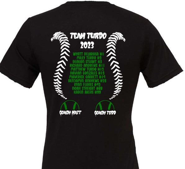 TEAM TURDO HORNETS 14U