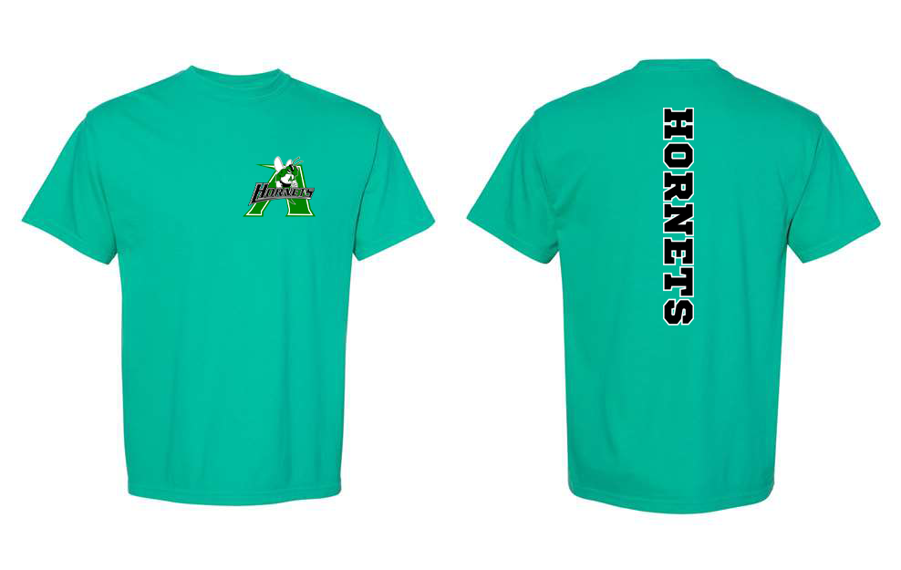 AZLE HORNETS SPINE -AHSSOCCER