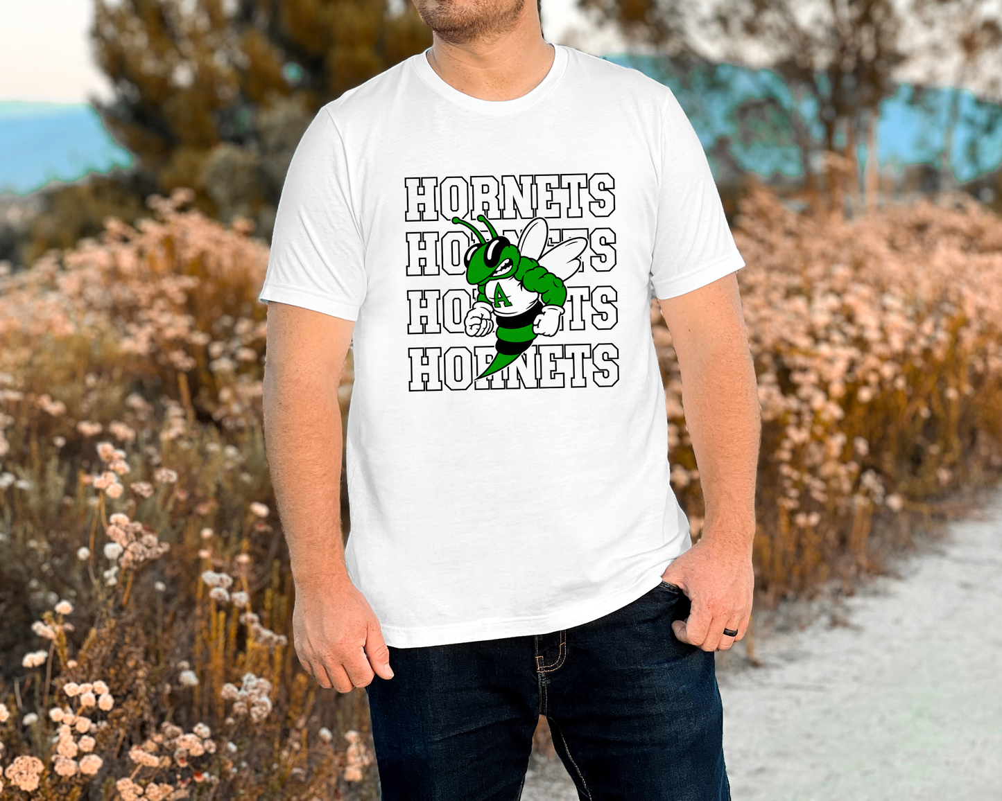 HORNETS OUTLINE-AJH