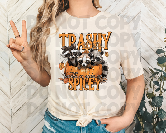 TRASHY WITH A SIDE OF SPICEY-Transfer Only