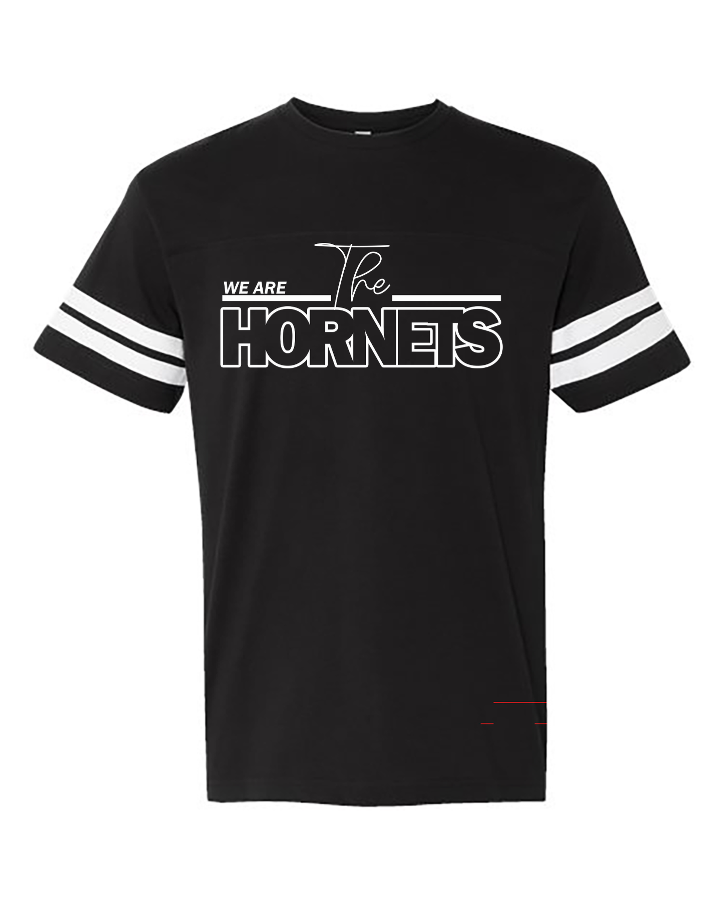 We Are the Hornets-PROJECTGRAD2029