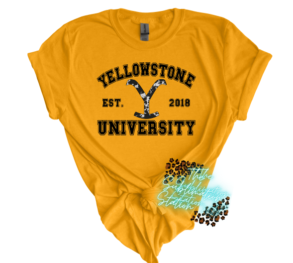 Yellowstone University-TRANSFER ONLY